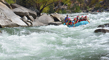 Tuolumne River White Water Rafting Trips