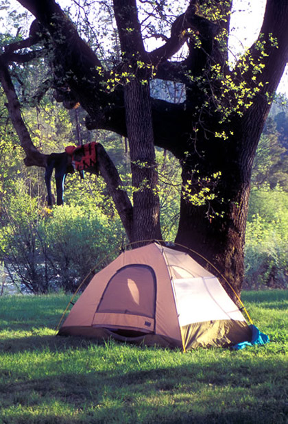 Camping on the Kaweah River
